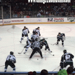Utah Grizzlies family activity