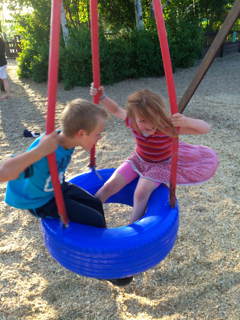 discovery-park-swing