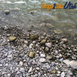 The rocks around the boat docks. 