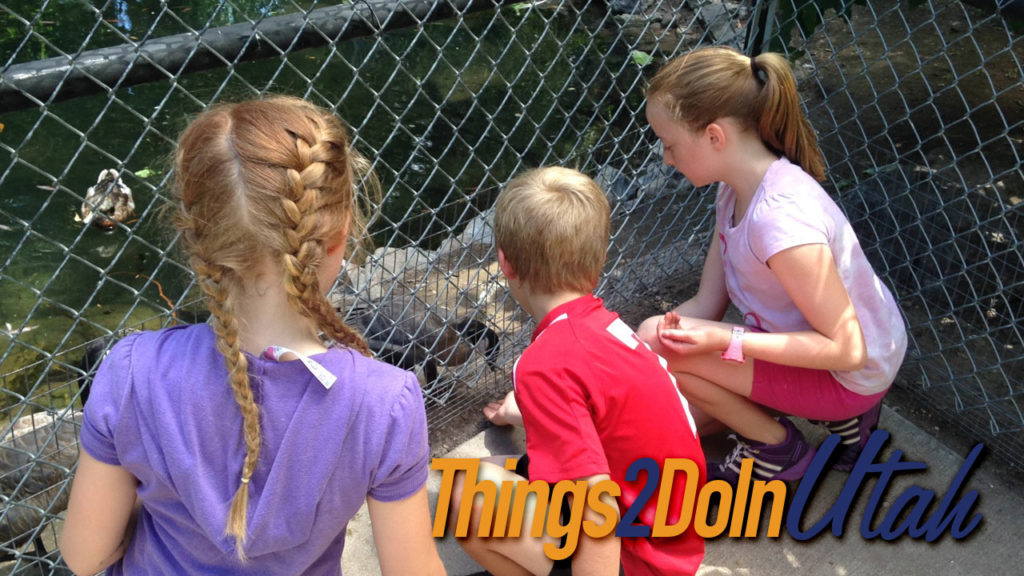 Willow Park Zoo