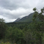Alpine loop view of Timpanogos