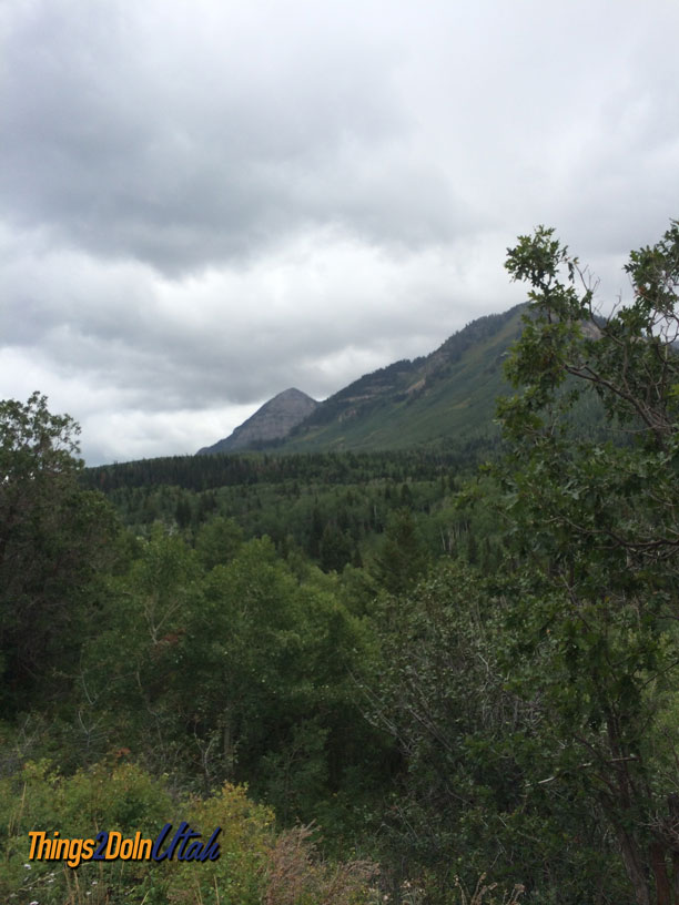 Alpine loop view of Timpanogos