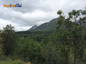 Alpine scenic loop