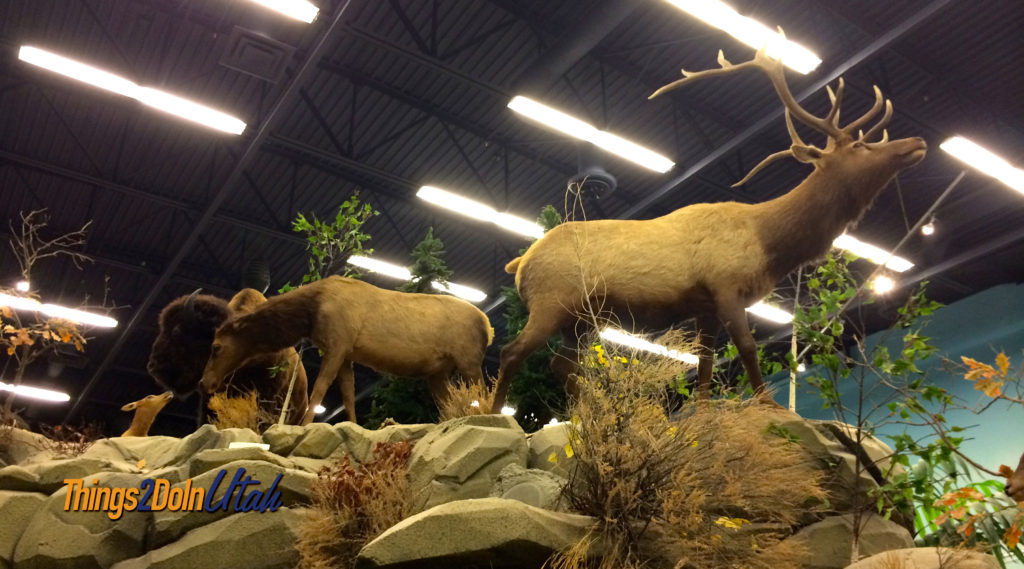 Rosenbruch wildlife museum st george utah