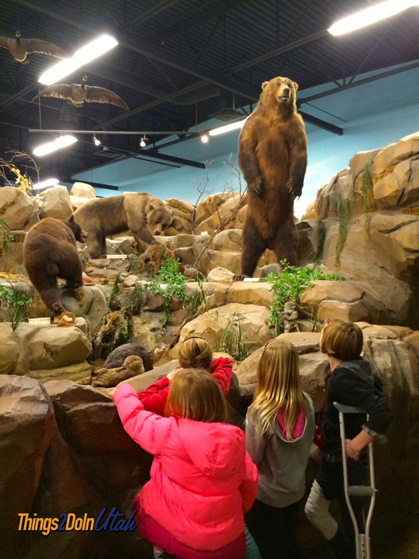 rosenbruch-wildlife-museum