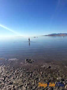 Swimming in Great Salt Lake