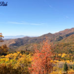Fall colors at nebo loop