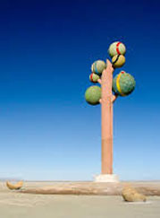 Tree of Utah