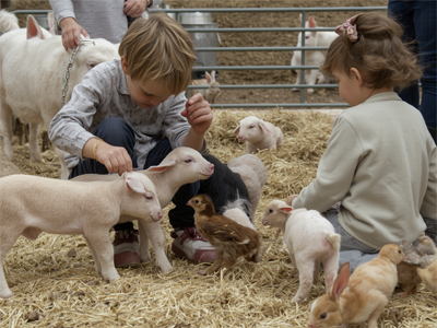 Family Petting Zoo Utah