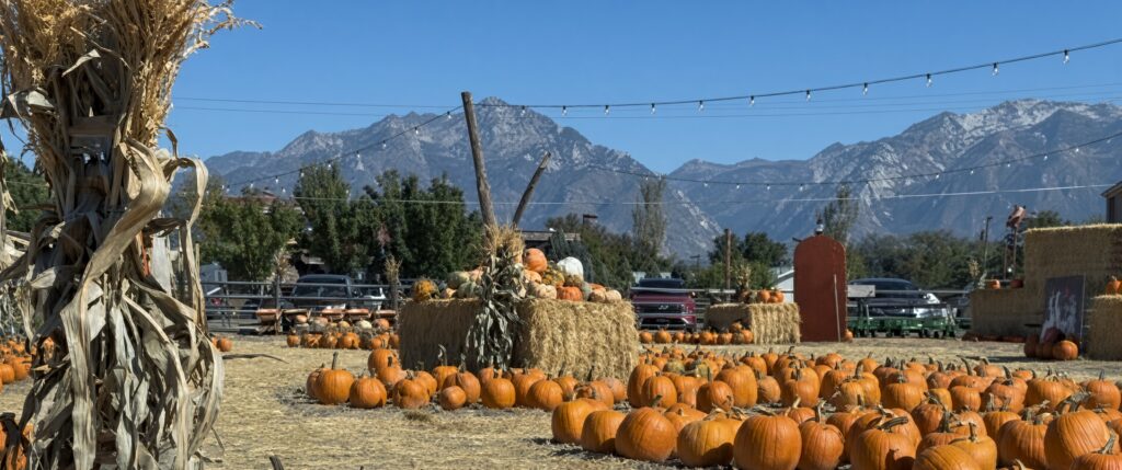 Utah Pumpkin Patch